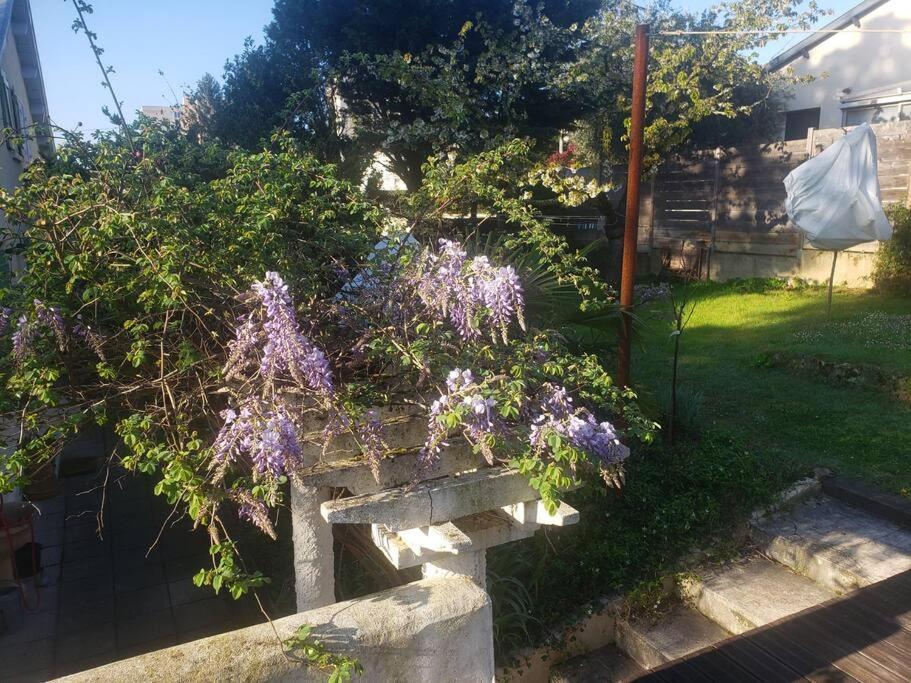 Studio Buena Vista Avec Terrasse Sur Jardin Bron Eksteriør bilde